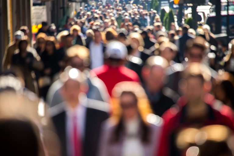 Welcome to the Herd Mentality